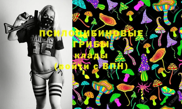 a pvp Вязники