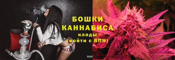 прущий лед Вязьма