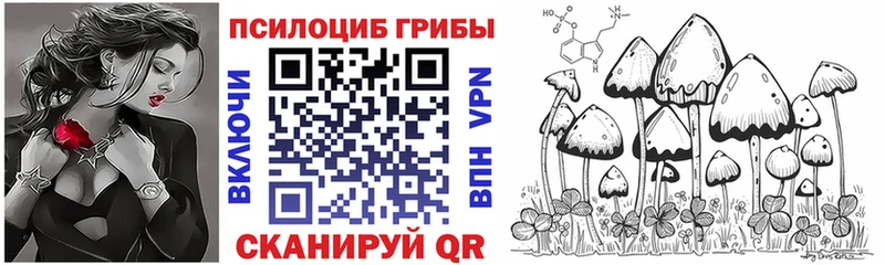 Купить где  Тимашёвск  Псилоцибиновые грибы Psilocybine cubensis 